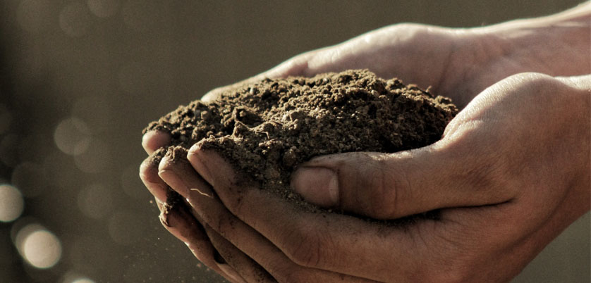 G8全自動石墨消解儀對土壤中Cd、Cr、Cu、Pb、Ni、Zn金屬消解方案