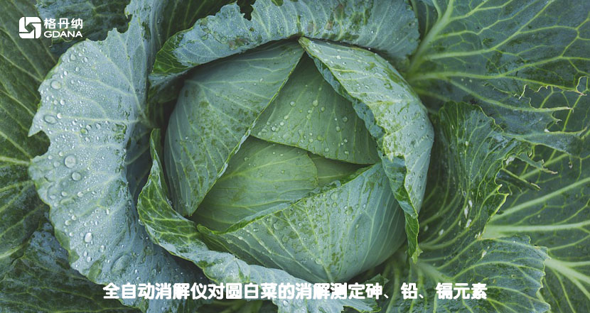 全自動消解儀對圓白菜的消解測定砷、鉛、鎘元素